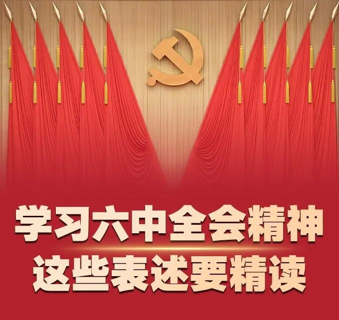 学习六中全会精神，这些表述要精读