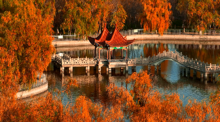 五一农场秋冬美景上线！