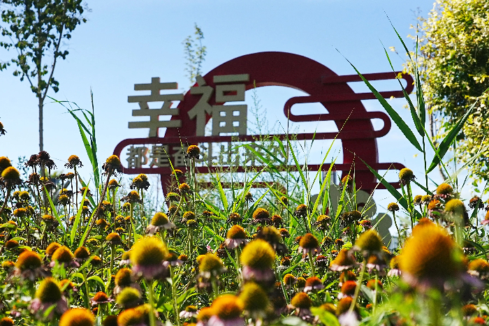 五一农场：用活基层“党建笔” 绘就乡村治理“新画卷”